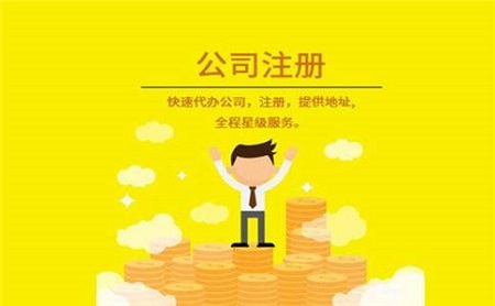 公司注册资本 公司注册资本